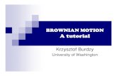 BROWNIAN MOTION A  

Brownian motion – Stable processes –