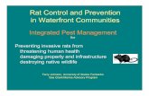 Rat Control and Prevention in Waterfront Communitiesseagrant.uaf.edu/map/conservation/rats/rattalkcommunity-web.pdf · • The rat the “third most successful mammal in the world”