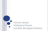 Hannah Jackson Professional Practice Live Brief- Monaghan ...€¦ · Arctic Monkeys Cutlers Hall Silver Stainless Steel . Initial Thoughts/ focus . ... website was very simple and