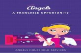 A FRANCHISE OPPORTUNITY - Housekeeping Angels · A FRANCHISE OPPORTUNITY ... That’s why we’ve now launched our exciting franchise, because we love cleaning and so should you!