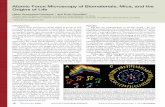 Atomic Force Microscopy of Biomaterials, Mica, and the Origins …web.physics.ucsb.edu/~hhansma/HHansmaMicroscopyToday2010.pdf · 2013-11-03 · Introduction Atomic force microscopy