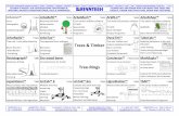 Trees & Timber Tree-Ringsdownload.rinntech.com/RINNTECH_Produkte_Products_2019.pdf · Dyna-Tim Resisto-graph® LIN-TAB Ligno-Vision Ligno-Station TSAP Straßen- und Parkbaum Street-/Park-Tree