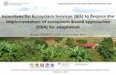 Incentives for Ecosystem Services (IES) to finance the … · 2018-12-06 · Incentives for Ecosystem Services in Agriculture (IES) High opportunity cost for EbA good practices Lack