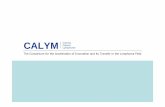 CALYM Institut Carnot LymphomeUn institut Carnot c’est • Une structure de recherche identifiable et visible – périmètre, activité, taille critique • Qui définit clairement
