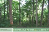Brenda Huter COOPERATIVE FOREST MANAGEMENTIndiana Woodland Restoration Program and Forest Restoration Fund Work to increase fund USDA forestry practices Planting of Forests on Critical