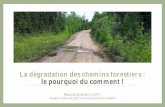 La dégradation des chemins forestiers : le pourquoi du ...chaireafd.uqat.ca/colloqueChaire/colloque2019/presentations/Colloq… · Indices de végétation 16. méthodes Données