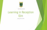 Learning in Reception Elm · Learning in Reception Elm Spring Term 2019. What have we been learning about in Literacy this term? Our topic for the first half of the Spring term was
