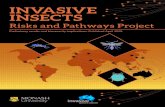 INVASIVE INSECTS · 2 INVASIVE INSECTS: Risks and Pathways Project Invasive Insects: Risks and Pathways Project Preliminary results and biosecurity implications. Published April 2020.