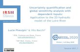 Uncertainty quantification and global sensitivity analysis with … · 2020-05-01 · Uncertainty quantification and global sensitivity analysis with dependent inputs: Application
