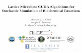 Lattice Microbes: CUDA Algorithms for Stochastic …Lattice Microbes: CUDA Algorithms for Stochastic Simulation of Biochemical Reactions Michael J. Hallock Joseph R. Peterson Luthey-Schulten