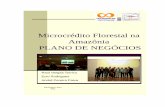 Microcrédito Florestal na - Terra Brasilis...conceituais do microcrédito, do crédito florestal e do plano de negócios. Melhor ainda, ao ser selecionada como finalista na edição