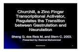 Churchill, a Zinc Finger Transcriptional Activator, Regulates the ...web.mit.edu/9.013/www/presentations/Rahmat1.pdf · Neurulation Sheng G, dos Reis M, and Stern C. 2003. Presented