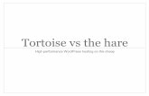 High performance WordPress hosting on the cheap Tortoise vs … · 2016-12-07 · High performance WordPress hosting on the cheap * Metronet My original setup ... Cost ~US$9 / month