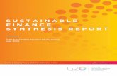 Sustainable Finance Synthesis Report - UNEP Inquiryunepinquiry.org/wp-content/uploads/2018/11/G20... · WEF World Economic Forum Acronyms and Abbreviations. 5 20 Sustainable Finance