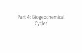 Part 4: Biogeochemical Cycles - MS MASLANKA'S …...Carbon Cycle •Carbon (C) is the basis of life on Earth. While the most abundant substance in organisms is water, carbon is the