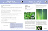 Wildlife for All Wildlife Pond Pack Membership Information ... · Choosing pond plants Pond open for business -attracting wildlife Maintaining your pondand ... more than 10,000 school