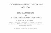 OCLUSION DISTAL DE COLON AGUDA · OCLUSION DISTAL DE COLON AGUDA CIRUGIA URGENTE vs STENT / PROGRAMA FAST-TRACK CIRUGIA ELECTIVA . ... VIUG MS, et al. Laparoscopic in combination