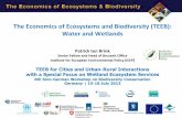 The Economics of Ecosystes and Biodiversity (TEEB): Water and … · 2020-01-29 · The Economics of Ecosystems and Biodiversity (TEEB): Water and Wetlands Patrick ten Brink Senior