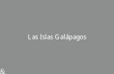 Las Islas Galápagos · Las Islas Galápagos. Islas Galápagos –A 600 km del continente. Sanctuary Retreats En Galápagos hay 2 itinerarios disponibles, uno al Norte y otro al Sur,