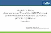 Developmental Disability (DD) Waivers & Commonwealth ......Redesign of the DD Waivers. Slide 20 Integrated DD Waiver Redesign Day Support Waiver Building Independence Waiver For adults