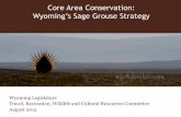 Core Area Conservation: Wyoming’s Sage Grouse Strategy€¦ · Sage Grouse Conservation Strategy “The Fish and Wildlife Service believes that the core area strategy…if implemented