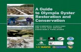 A Guide to Olympia Oyster Restoration and Conservationlibrary.elkhornslough.org/attachments/Wasson_2015_A... · 2016-01-11 · Olympia oysters range from Central Baja California,