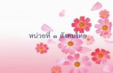 หน่วยที่ ๑ สังคมไทย · 2019-04-30 · ศันสนีย์ ทุกข์สูญ บรรทัดฐานทางสังคม (NORMS)