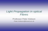 Light Propagation in optical Fibreseestprh/EE5514/lesson1_new.pdf · • Optical Fibre An optical fibre is a dielectric waveguide that operates at optical frequencies. Typical structure