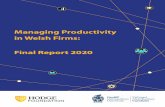 Managing Productivity in Welsh Firms: Final Report 2020€¦ · 4 Managing Productivity in Welsh Firms: Final Report Introduction 1.1 Study Aims This is the final report on productivity
