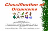 Classification of Organisms€¦ · Classification of Organisms Main Idea *****Chapter 14***** Students should be able to: * Understand why a classification system is important *