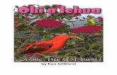 by Ken Gilliland · DAZ Studio4 Use In DAZ Studio, go to “Props : Plants : O’hia Lehua” folder in the “My Library” path. The two high resolution branches default in the