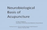 Neurobiological basis of acupuncture · 2016-06-27 · three products: beta endorphine, ACTH, and MSH. •And still higher in the brain, we probably have reflex responses originating
