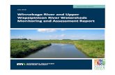 Winnebago River and Upper Wapsipinicon River Watersheds ...Winnebago River and Upper Wapsipinicon River Watersheds Minnesota Pollution Control Agency Monitoring and Assessment Report