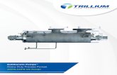 Heavy Duty Process Pumps - trilliumflow.com · The AHPB, AHPB-DS range heavy duty barrel pumps are multistage, radial split, with single or double entry 1st stage impeller, designed
