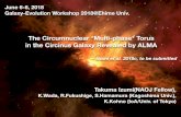 The Circumnuclear *Multi-phase* Torus in the Circinus ...member.ipmu.jp/kiyoto.yabe/gev2018/proc/talks/22_izumi.pdf · Low-resolution H I moment maps of the Circinus galaxy as obtained