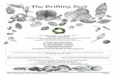 December, 2012 Vol. 18, No. 3 THE DRIFTING SEED …The Drifting Seed, 18.3, December 2012 Page 2 17th Annual International Sea-Bean Symposium Review Oct 12th & 13th, 2012, Cocoa Beach,