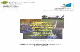 Diagnostic phytosanitaire grande zone en Dombes Bilan de la …croppp.org/IMG/pdf/Rapport_Pesticides_cle84c661-1.pdf · 2010-09-14 · Diagnostic phytosanitaire grande zone Dombes