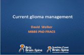 Current glioma management - Briz Brain & Spine · 2015-07-01 · shortens survival in patients with high grade glioma. (2007) J. Neurooncol. Walker et al. An analysis of dose-effect