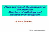 Place and role of the pathology in the medicine. Structure ...€¦ · Structure of pathology and methods of investigation Dr. Attila Zalatnai (Just for educational purposes) Without