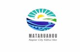 Mataruahou Napier City Kāhui Ako - Home | Education in ... · Learner development of a positive mathematics identity, ... across the Kāhui Ako in order for all students to have