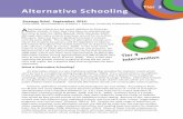 Tier 3 Alternative Schooling · 2015-08-25 · Tier 3 What is Alternative ... Emily Moss, Jenna Strawhun, & Reece L. Peterson, University of Nebraska-Lincoln. Tier 3 tion. Alternative