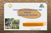Ing. Diego Alemán Ramírez Director ... - Gobierno del Perú · # Realización de la IX Feria Regional Agropecuaria ( 24 de junio Día del Campesino). Contándose con la participación
