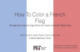 How To Color a French FlagHow To Color a French Flag Biologically Inspired Algorithms for Scale-Invariant Patterning Bertie Ancona, Ayesha Bajwa, Nancy Lynch, and Frederik Mallmann-Trenn