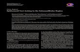 Case Report Epidermoid Cyst Arising in the Submandibular Regiondownloads.hindawi.com/journals/crim/2013/419289.pdf · 2019-07-31 · Dermoid and epidermoid cysts in the oral cavity