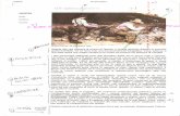 art]è school | Just another WordPress.com site · 2016-04-17 · Gli spaccapietre Gustave Courbä, Gli iare, 1849 Questa tela, già esposta al museo di Dresda, è andata distrutta
