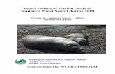 Observations of Harbor Seals in · National Marine Mammal Laboratory (NMML) from 1978-1999, the harbor seal population was estimated to be over 32,000 animals in Washington waters.