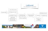Lathund - Ystad Municipality · För åk 7-9 genomförs kartläggning steg 2 och 3 av kartläggare inom högstadieskolan eftersom nyanlända ... • klassen (foto) ... • kognitivt