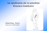 Le syndrome de la jonction thoraco-lombairearlette.hatesse.free.fr/documents/8 Charniere Thoraco-Lombaire.pdf · cutanée de la JTL - dirigée vers le bas - croisant la crête iliaque