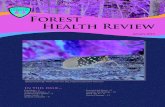 Foest Heth eie - Shaping Virginia's Forestsdof.virginia.gov/infopubs/_fhr/FHR-2019-01_pub.pdf · Forest Service, Forest Health Protection Southern Pine Beetle Program funds. Our program