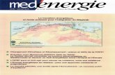 ENERGIES 2050energies2050.org/wp-content/uploads/2017/03/medenergie...Changement Climatique et Développement : enjeux et défis de la COP21. Paris peut-il tenir ses promesses ? Stéphane